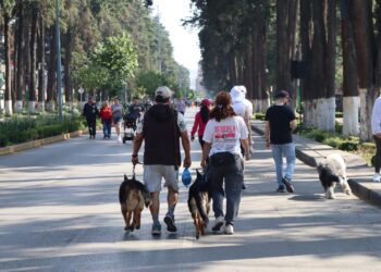 Invita Gobierno municipal a disfrutar la versión extendida de Toluca Recreativa en Paseo Colón