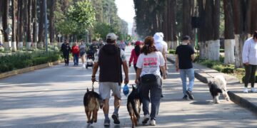 Invita Gobierno municipal a disfrutar la versión extendida de Toluca Recreativa en Paseo Colón