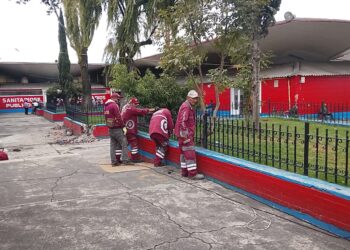 Entra Gobierno municipal al rescate del Mercado Juárez para acabar con plagas y mantener arbolado: Ricardo Moreno