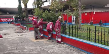 Entra Gobierno municipal al rescate del Mercado Juárez para acabar con plagas y mantener arbolado: Ricardo Moreno