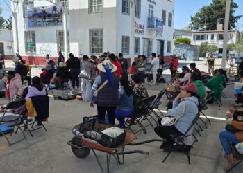 Toluca fortalece el bienestar animal con 23 mil 500 esterilizaciones a perros y gatos