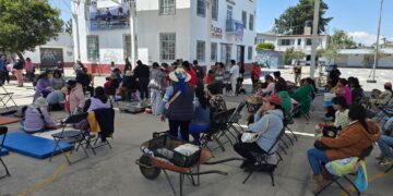 Toluca fortalece el bienestar animal con 23 mil 500 esterilizaciones a perros y gatos