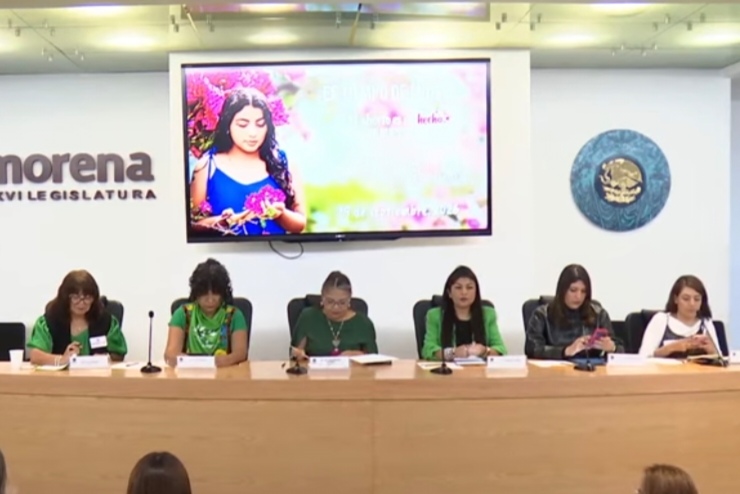 Preciso, impulsar exigencia de eliminar delito de aborto de los códigos penales, afirma Anaís Burgos