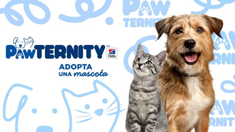 Hill’s Pet Nutrition lanza Pawternity para transformar la adopción de mascotas en México