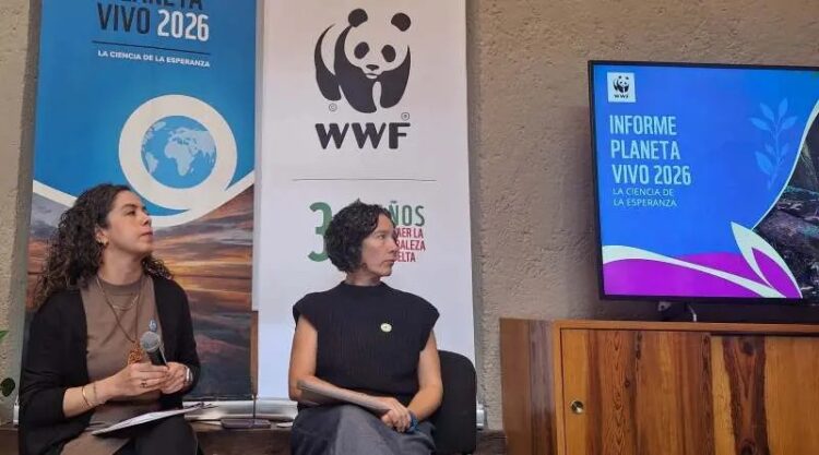 WWF llama a la esperanza pese a descenso del 73% de fauna silvestre