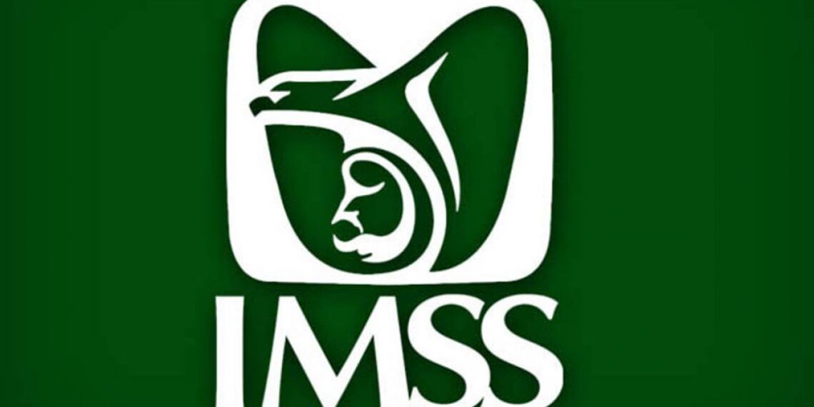 Contrataciones millonarias del IMSS adjudicadas con declaraciones falsas
